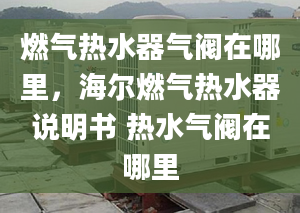 燃?xì)鉄崴鳉忾y在哪里，海爾燃?xì)鉄崴髡f明書 熱水氣閥在哪里