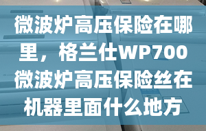 微波爐高壓保險(xiǎn)在哪里，格蘭仕WP700微波爐高壓保險(xiǎn)絲在機(jī)器里面什么地方