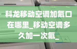 科龍移動空調(diào)加氟口在哪里_移動空調(diào)多久加一次氟_