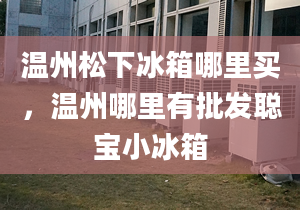 溫州松下冰箱哪里買，溫州哪里有批發(fā)聰寶小冰箱