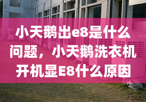 小天鵝出e8是什么問(wèn)題，小天鵝洗衣機(jī)開(kāi)機(jī)顯E8什么原因