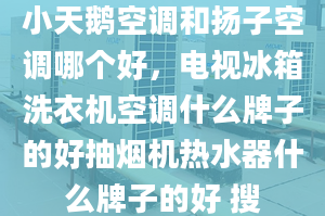 小天鵝空調(diào)和揚(yáng)子空調(diào)哪個(gè)好，電視冰箱洗衣機(jī)空調(diào)什么牌子的好抽煙機(jī)熱水器什么牌子的好 搜