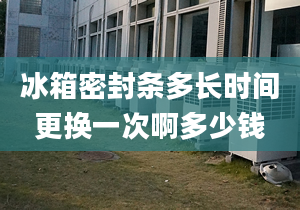 冰箱密封條多長時間更換一次啊多少錢