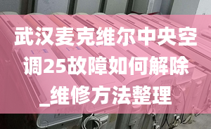 武漢麥克維爾中央空調(diào)25故障如何解除_維修方法整理