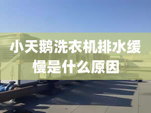 小天鵝洗衣機(jī)排水緩慢是什么原因