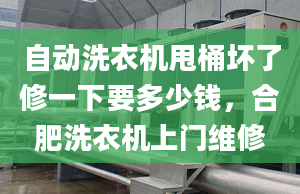 自動洗衣機甩桶壞了修一下要多少錢，合肥洗衣機上門維修