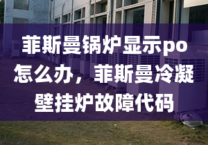 菲斯曼鍋爐顯示po怎么辦，菲斯曼冷凝壁掛爐故障代碼