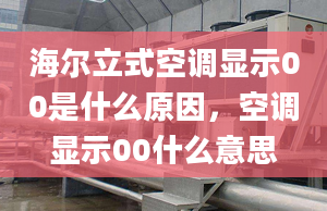 海爾立式空調(diào)顯示00是什么原因，空調(diào)顯示00什么意思