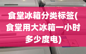 食堂冰箱分類標(biāo)簽(食堂用大冰箱一小時(shí)多少度電)