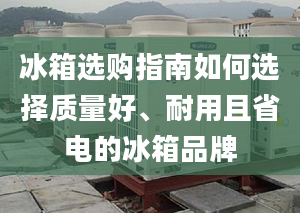 冰箱選購指南如何選擇質(zhì)量好、耐用且省電的冰箱品牌