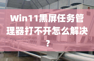 Win11黑屏任務(wù)管理器打不開怎么解決？