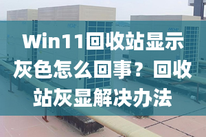 Win11回收站顯示灰色怎么回事？回收站灰顯解決辦法