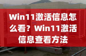 Win11激活信息怎么看？Win11激活信息查看方法