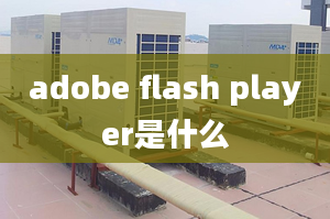 adobe flash player是什么