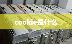 cookie是什么