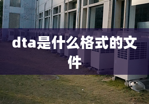 dta是什么格式的文件