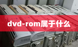 dvd-rom屬于什么