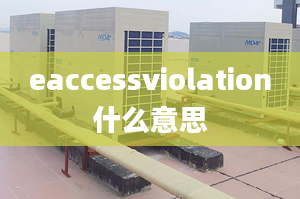 eaccessviolation什么意思