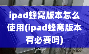 ipad蜂窩版本怎么使用(ipad蜂窩版本有必要嗎)