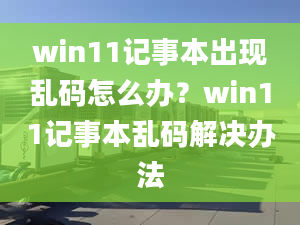 win11記事本出現(xiàn)亂碼怎么辦？win11記事本亂碼解決辦法