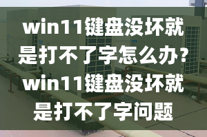 win11鍵盤沒壞就是打不了字怎么辦？win11鍵盤沒壞就是打不了字問題