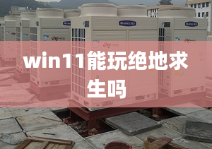 win11能玩絕地求生嗎