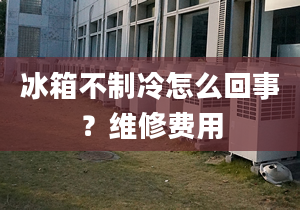 冰箱不制冷怎么回事？維修費用