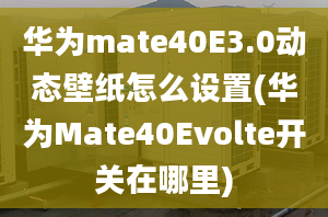 華為mate40E3.0動(dòng)態(tài)壁紙?jiān)趺丛O(shè)置(華為Mate40Evolte開關(guān)在哪里)