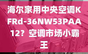 海爾家用中央空調(diào)KFRd-36NW53PAA12？空調(diào)市場(chǎng)小霸王