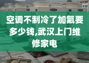 空調(diào)不制冷了加氟要多少錢,武漢上門維修家電