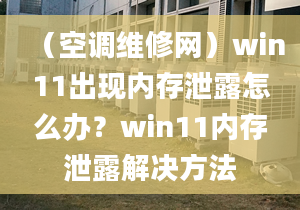 （空調(diào)維修網(wǎng)）win11出現(xiàn)內(nèi)存泄露怎么辦？win11內(nèi)存泄露解決方法