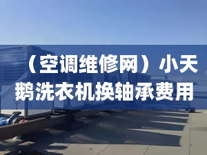 （空調(diào)維修網(wǎng)）小天鵝洗衣機(jī)換軸承費(fèi)用