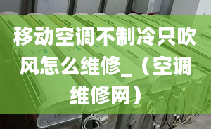 移動(dòng)空調(diào)不制冷只吹風(fēng)怎么維修_（空調(diào)維修網(wǎng)）