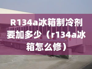 R134a冰箱制冷劑要加多少（r134a冰箱怎么修）