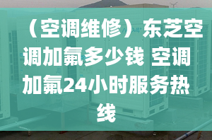 （空調(diào)維修）東芝空調(diào)加氟多少錢 空調(diào)加氟24小時(shí)服務(wù)熱線