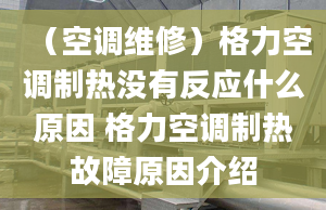 （空調(diào)維修）格力空調(diào)制熱沒有反應(yīng)什么原因 格力空調(diào)制熱故障原因介紹