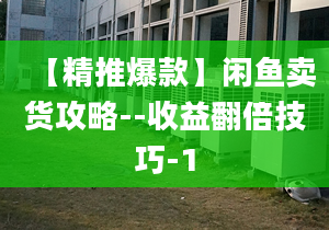 【精推爆款】閑魚賣貨攻略--收益翻倍技巧-1