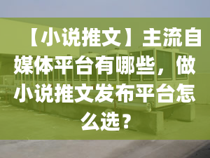 【小說(shuō)推文】主流自媒體平臺(tái)有哪些，做小說(shuō)推文發(fā)布平臺(tái)怎么選？