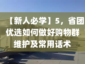 【新人必學(xué)】5，省團(tuán)優(yōu)選如何做好購(gòu)物群維護(hù)及常用話術(shù)