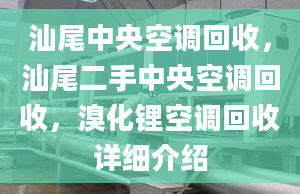 汕尾中央空調(diào)回收，汕尾二手中央空調(diào)回收，溴化鋰空調(diào)回收詳細(xì)介紹