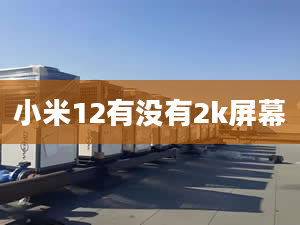 小米12有沒有2k屏幕