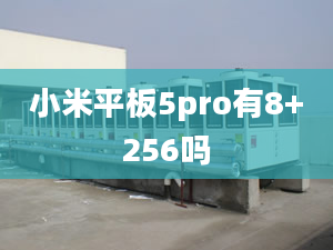 小米平板5pro有8+256嗎