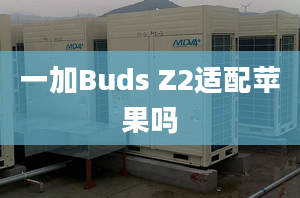 一加Buds Z2適配蘋果嗎