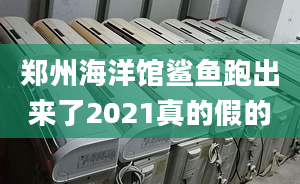 鄭州海洋館鯊魚跑出來了2021真的假的