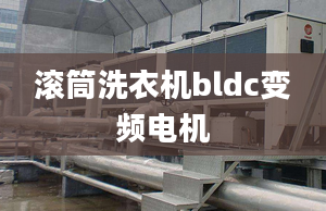 滾筒洗衣機(jī)bldc變頻電機(jī)