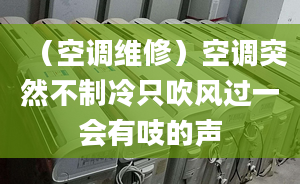 （空調(diào)維修）空調(diào)突然不制冷只吹風(fēng)過(guò)一會(huì)有吱的聲