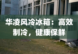 華凌風(fēng)冷冰箱：高效制冷，健康保鮮