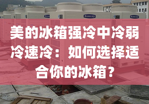 美的冰箱強(qiáng)冷中冷弱冷速冷：如何選擇適合你的冰箱？