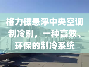 格力磁懸浮中央空調(diào)制冷劑，一種高效、環(huán)保的制冷系統(tǒng)