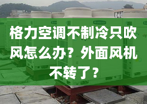 格力空調(diào)不制冷只吹風(fēng)怎么辦？外面風(fēng)機不轉(zhuǎn)了？